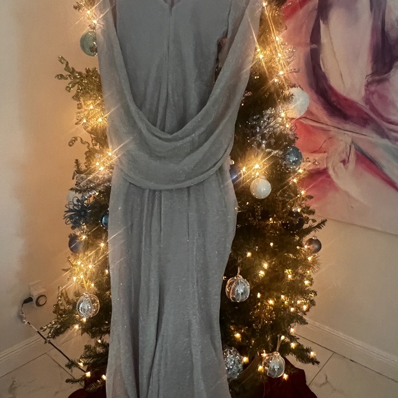 Size 10 Ruched Cape Dress - Picture 3 of 4